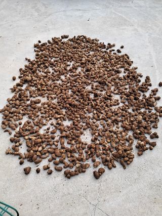 산청아들셋맘박홍점님의 자유주제 · 자유게시판 작성글 사진