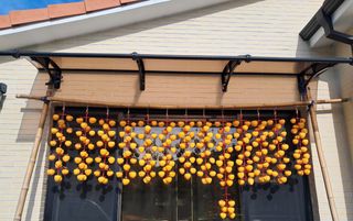 산청아들셋맘박홍점님의 자유주제 · 자유게시판 작성글 사진