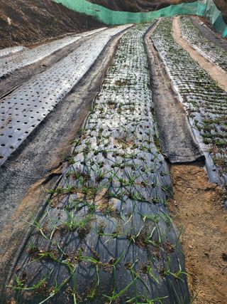 정금천님의 자유주제 · 자유게시판 작성글 사진