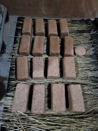 정금천님의 자유주제 · 자유게시판 작성글 사진