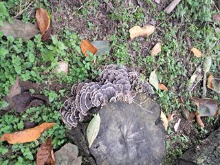 신봉국님의 자유주제 · 사진전 작성글 사진