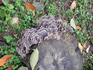 신봉국님의 자유주제 · 사진전 작성글 사진