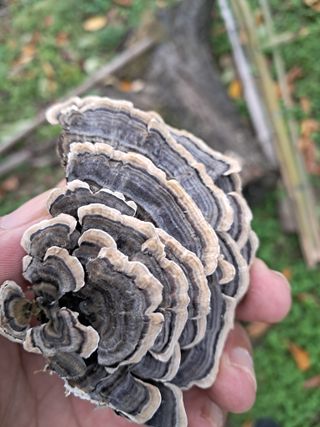 신봉국님의 자유주제 · 사진전 작성글 사진