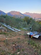 팜모닝 자유주제·자유게시판 게시글 이미지