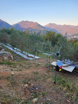 신승덕맛익는사과님의 자유주제 · 자유게시판 작성글 사진