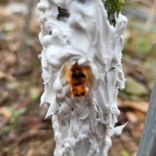 오케바리(옥경종)님의 자유주제 · 자유게시판 작성글 사진