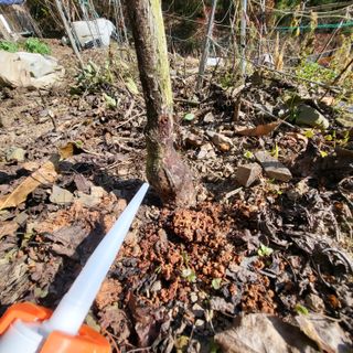 오케바리(옥경종)님의 자유주제 · 자유게시판 작성글 사진