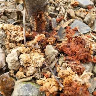 오케바리(옥경종)님의 자유주제 · 자유게시판 작성글 사진