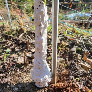 오케바리(옥경종)님의 자유주제 · 자유게시판 작성글 사진