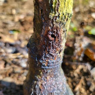 오케바리(옥경종)님의 자유주제 · 자유게시판 작성글 사진