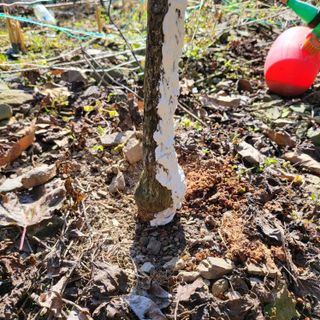 오케바리(옥경종)님의 자유주제 · 자유게시판 작성글 사진