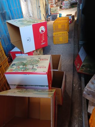 알 수 없음님의 자유주제 · 자유게시판 작성글 사진