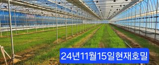 김영숙님의 자유주제 · 자유게시판 작성글 사진