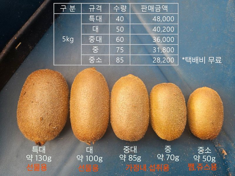 김진국님의 장터 판매 상품 [무농약 인증 슈퍼푸드 친환경 참다래(키위)판매합니다. 5kg, 10kg] 첨부 사진
