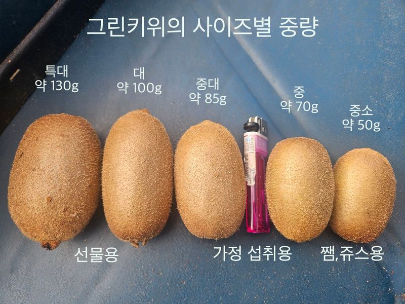 김진국님의 장터 판매 상품 [무농약 인증 슈퍼푸드 친환경 참다래(키위)판매합니다. 5kg, 10kg] 첨부 사진
