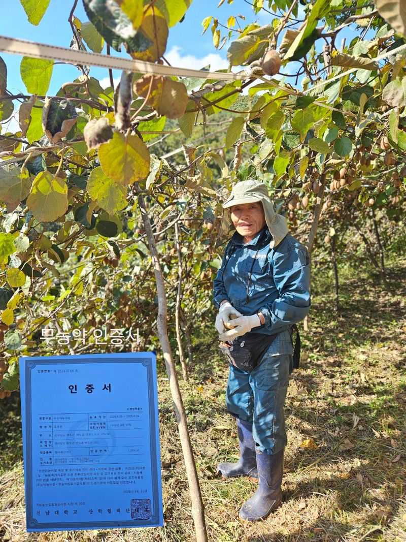 김진국님의 장터 판매 상품 [무농약 인증 슈퍼푸드 친환경 참다래(키위)판매합니다. 5kg, 10kg] 첨부 사진