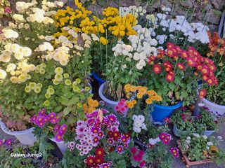 권오정님의 자유주제 · 자유게시판 작성글 사진