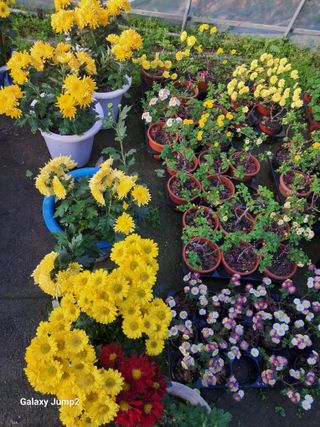 권오정님의 자유주제 · 자유게시판 작성글 사진