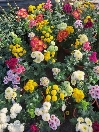 권오정님의 자유주제 · 자유게시판 작성글 사진