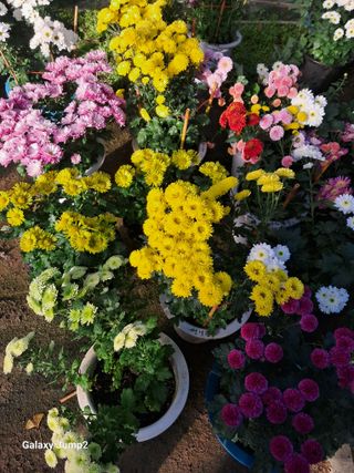 권오정님의 자유주제 · 자유게시판 작성글 사진