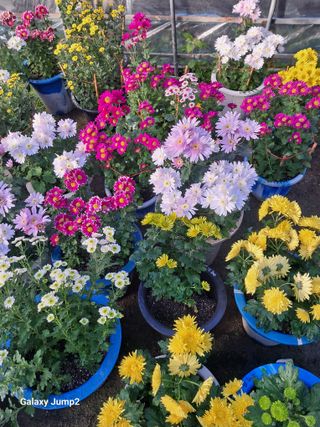 권오정님의 자유주제 · 자유게시판 작성글 사진