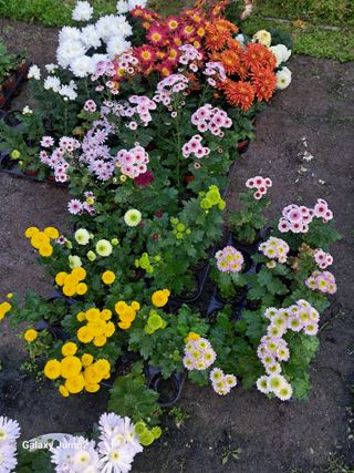 권오정님의 자유주제 · 자유게시판 작성글 사진