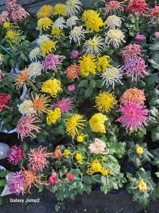 권오정님의 자유주제 · 자유게시판 작성글 사진