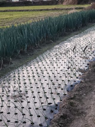 이대석님의 자유주제 · 자유게시판 작성글 사진