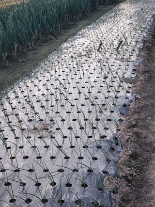 이대석님의 자유주제 · 자유게시판 작성글 사진