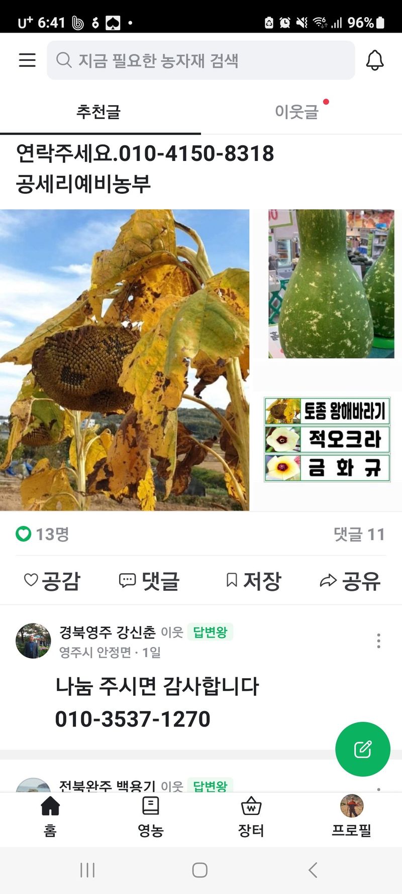 장터 상품 [토종왕해바라기씨앗 ] 썸네일