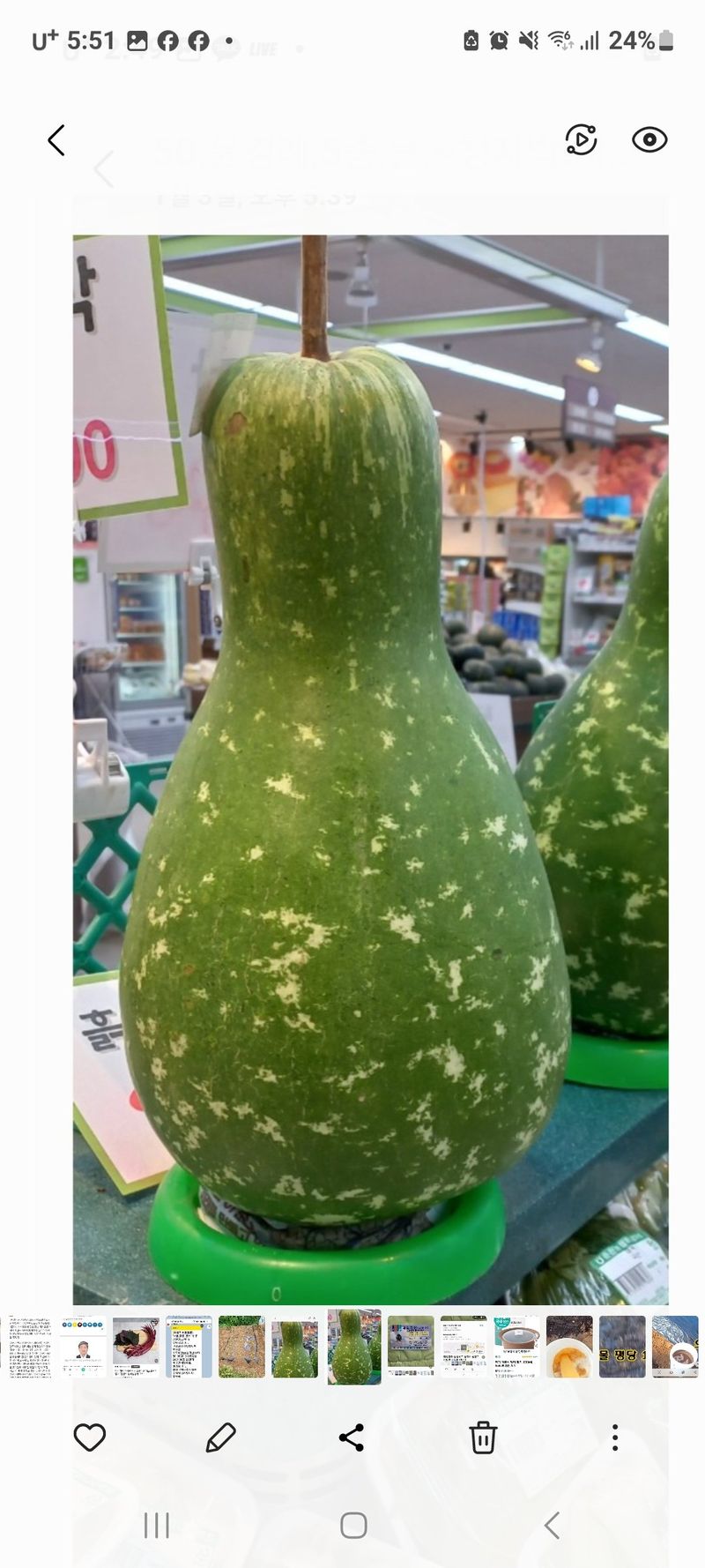 정찬영님의 장터 판매 상품 [토종왕해바라기씨앗 ] 첨부 사진