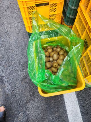 김영명님의 기타작물 · 영농일지 작성글 사진