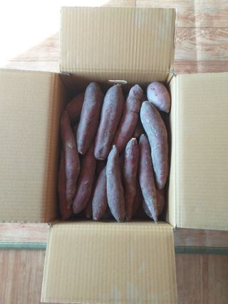 단진동님의 작성글 사진