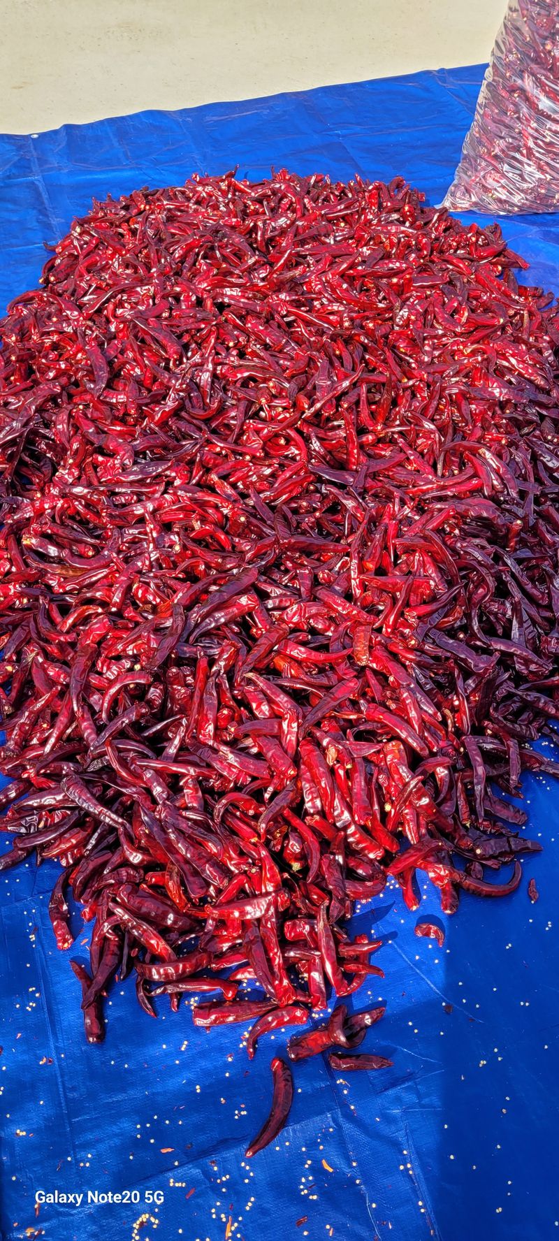 오늘이 가장 젊은날님의 장터 판매 상품 [24년도 고추가루 2물 고추 5근] 첨부 사진
