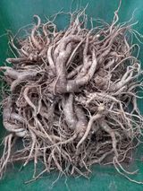 팜모닝 자유주제·자유게시판 게시글 이미지