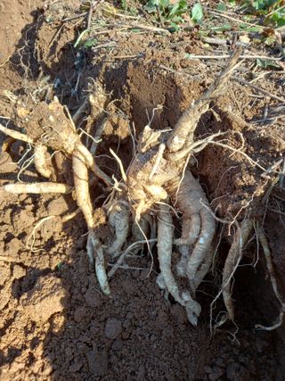영원한초보.장덕규님의 자유주제 · 자유게시판 작성글 사진