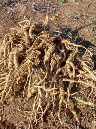 영원한초보.장덕규님의 자유주제 · 자유게시판 작성글 사진