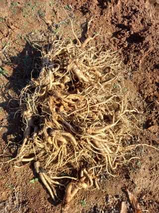 영원한초보.장덕규님의 자유주제 · 자유게시판 작성글 사진