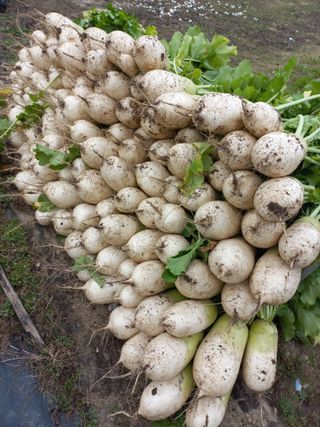 이성민님의 자유주제 · 자유게시판 작성글 사진