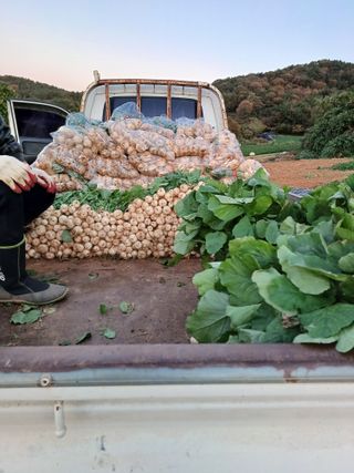 결단이님의 기타작물 · 영농일지 작성글 사진