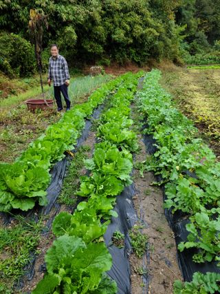 이경희님의 작성글 사진