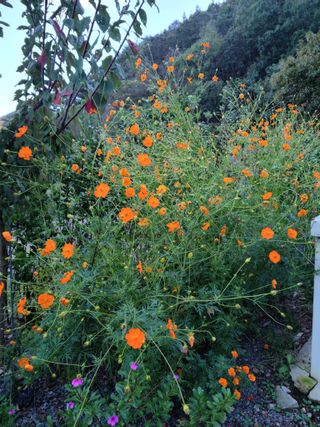 이경희님의 작성글 사진