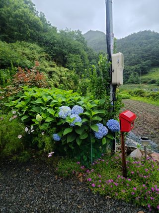 이경희님의 작성글 사진