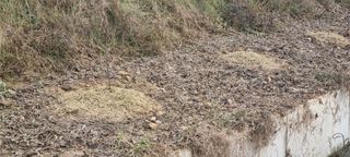 상촌농장 영가이버님의 자유주제 · 자유게시판 작성글 사진