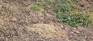 상촌농장 영가이버님의 자유주제 · 자유게시판 작성글 사진