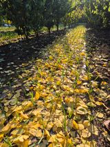 팜모닝 자유주제·자유게시판 게시글 이미지