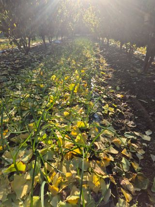 김학규님의 자유주제 · 자유게시판 작성글 사진