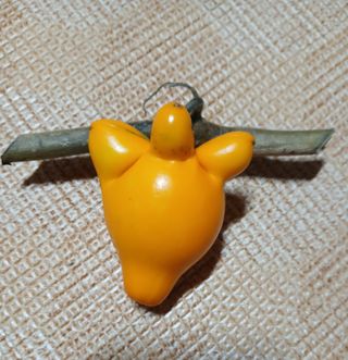 인생은 소풍처럼님의 자유주제 · 자유게시판 작성글 사진