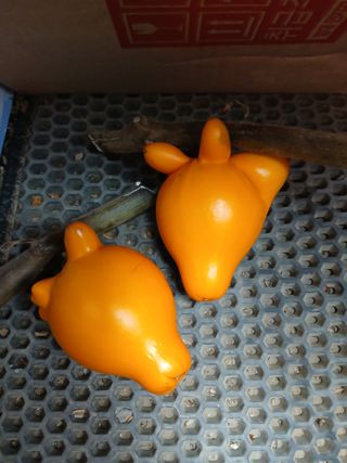 인생은 소풍처럼님의 자유주제 · 자유게시판 작성글 사진