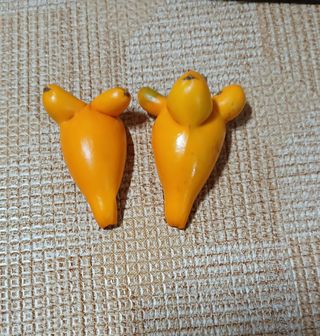 인생은 소풍처럼님의 자유주제 · 자유게시판 작성글 사진